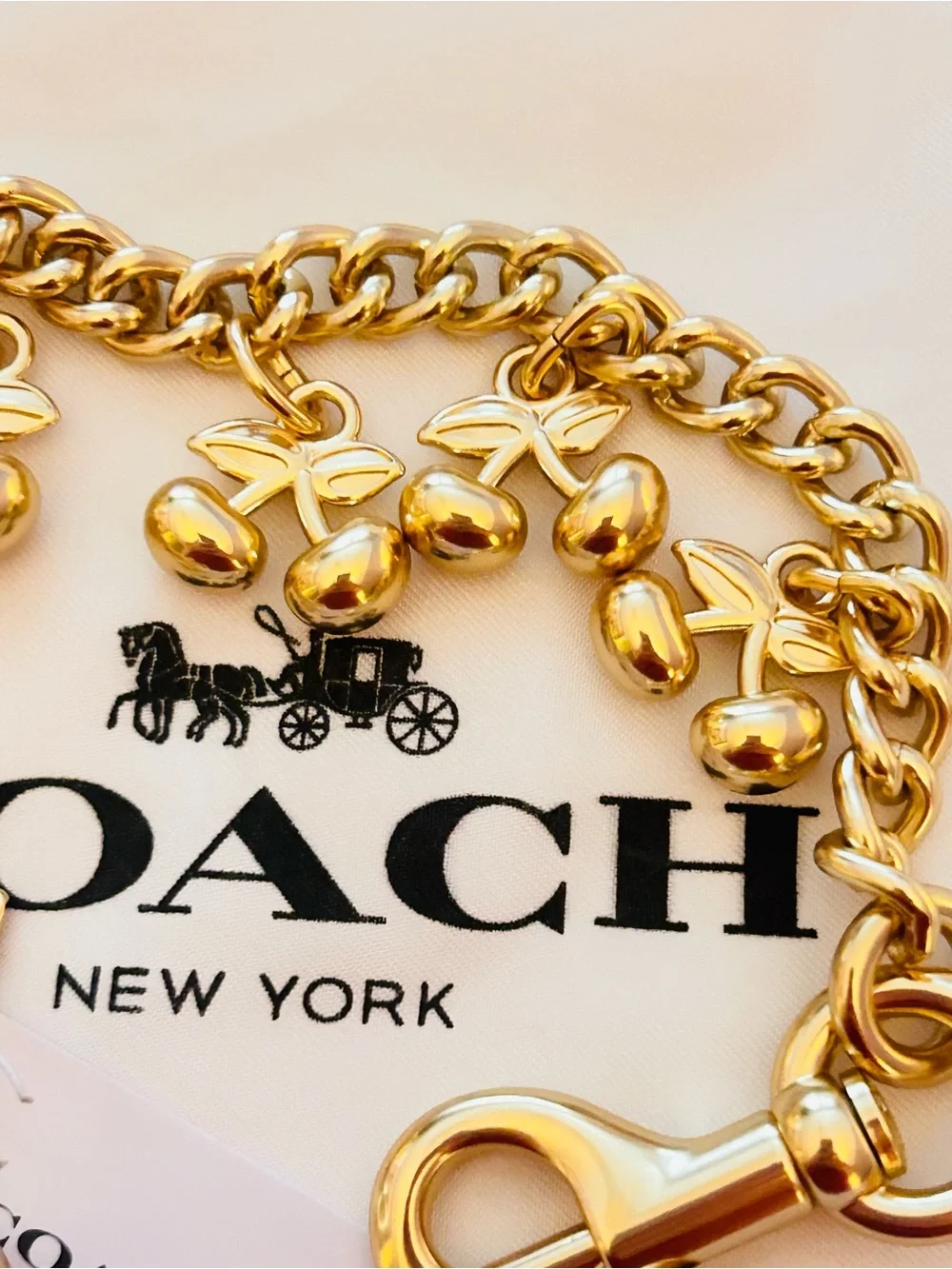 Coach Cherries Swag Bag Charm